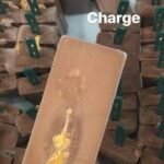 PALETA MEXICANA DE CHARGE